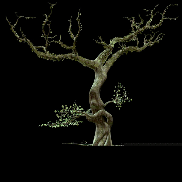images/goods_img/2021040233/Secular Tree/1.jpg